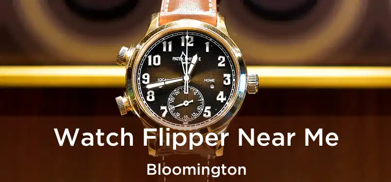 Watch Flipper Near Me Bloomington